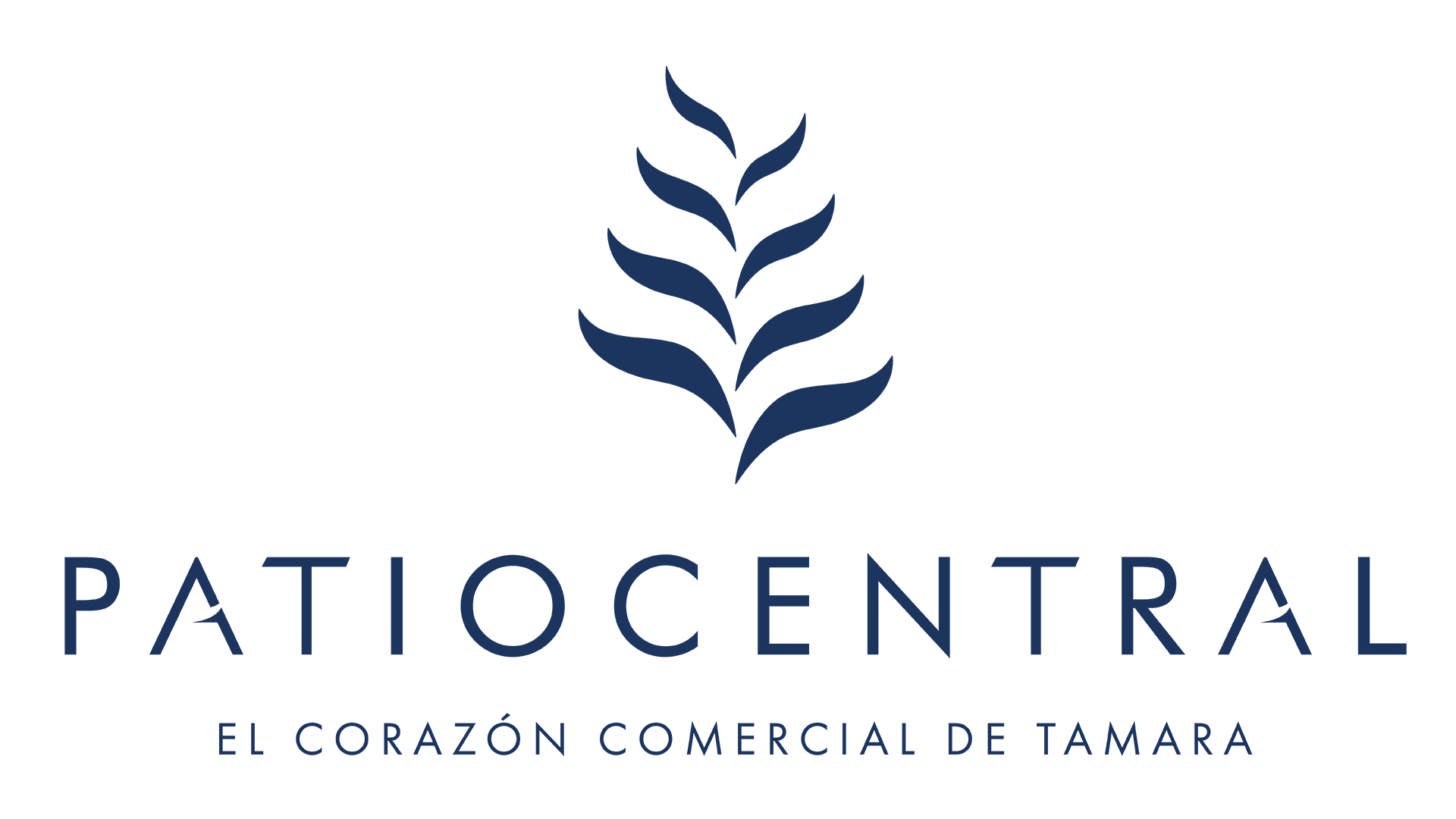 Idesco Experiencias Inmobiliarias