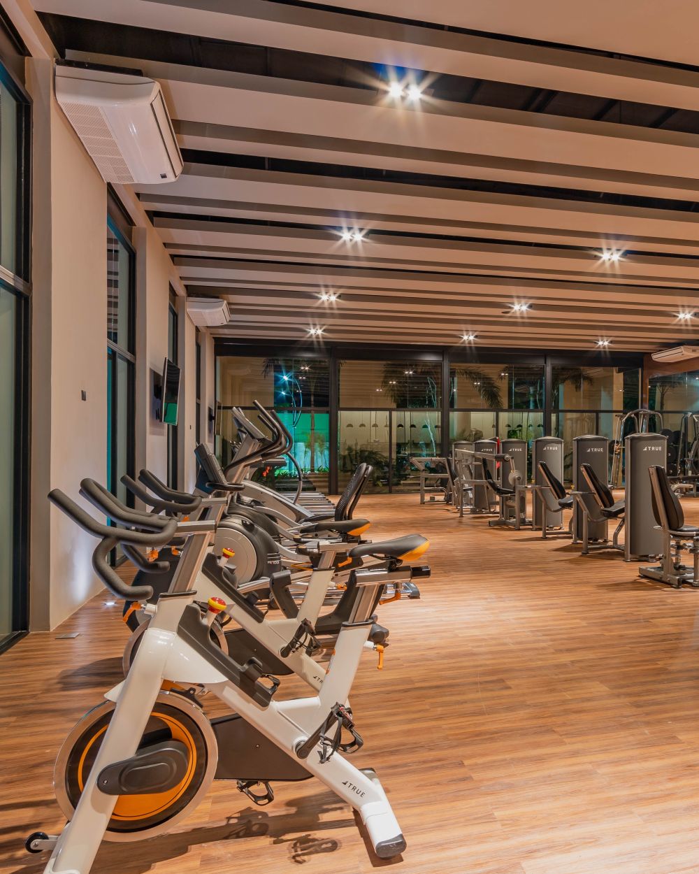 Gimnasio