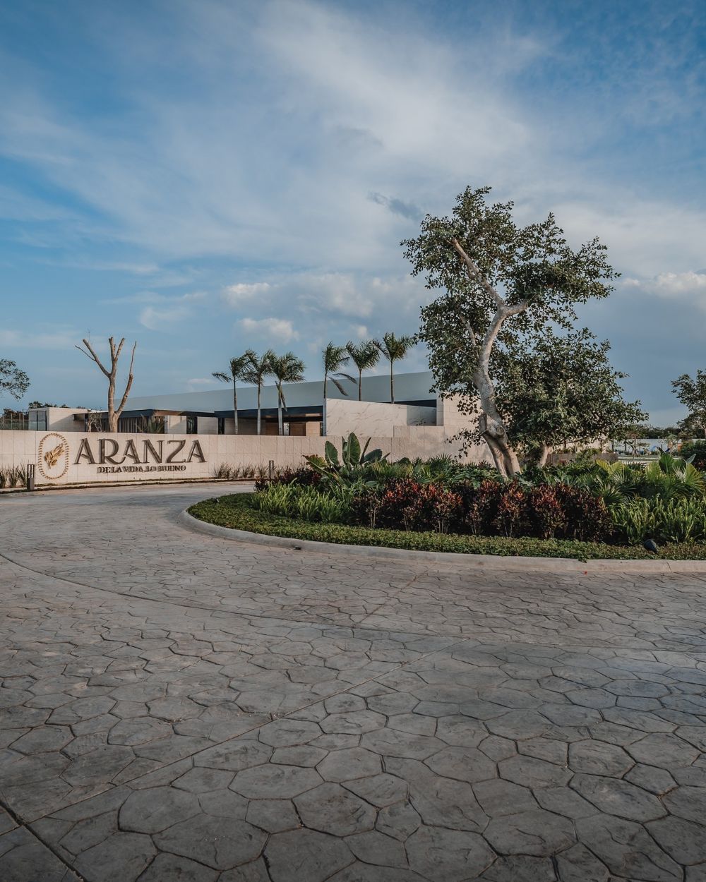 PROYECTUAL_ARANZA_DSC03666_72_EA