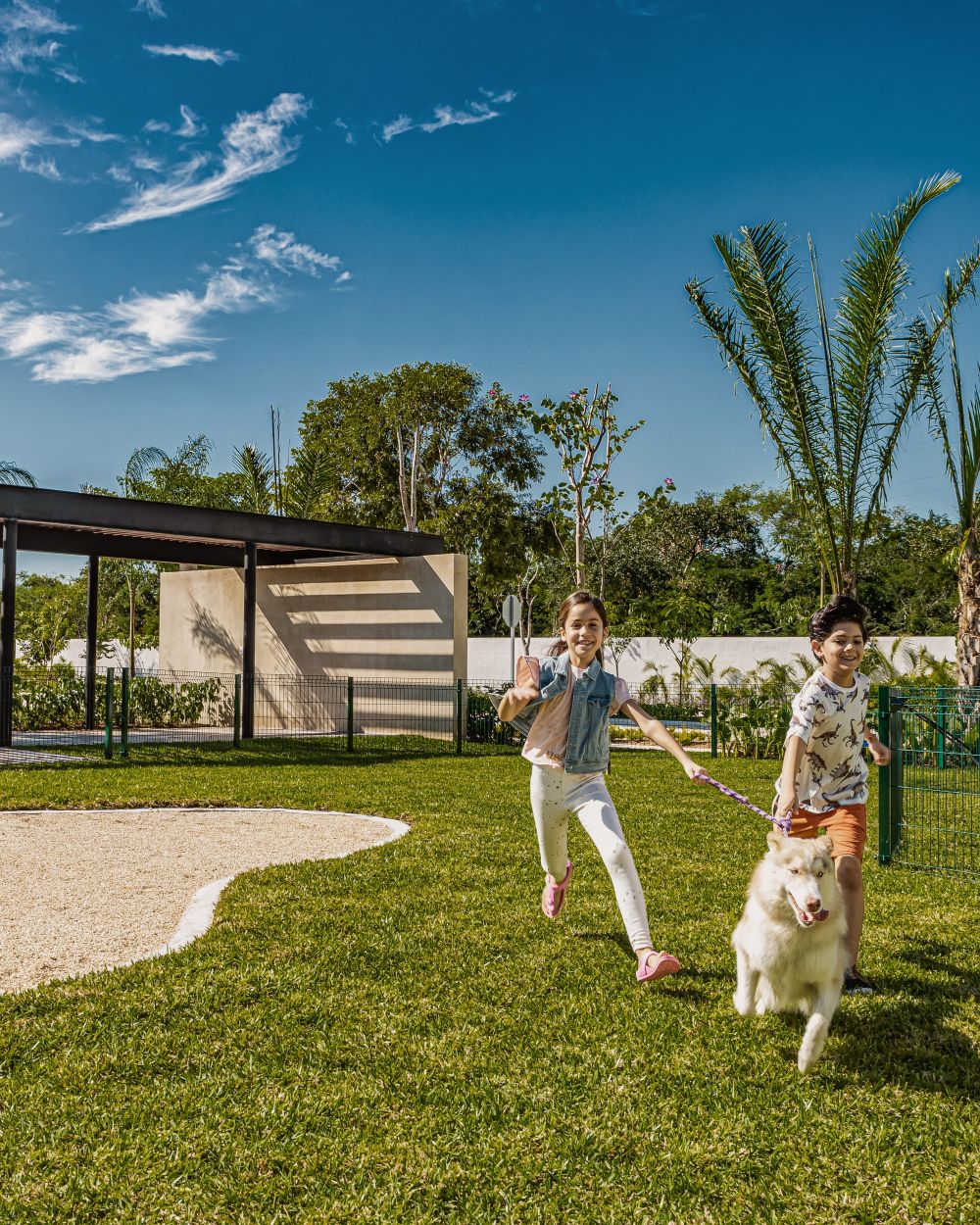 Pet park